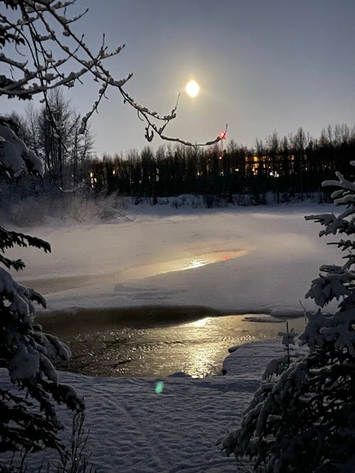Free stock photo of dawn, frozen lake, ice