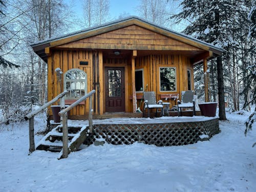 Free stock photo of aspen, birch, cabin