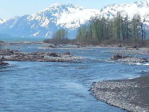 Ilmainen kuvapankkikuva tunnisteilla alaska, lumivuori, virta