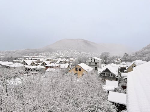 Free stock photo of mountain, snow, white