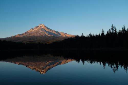 Fotos de stock gratuitas de arboles, cuerpo de agua, lago