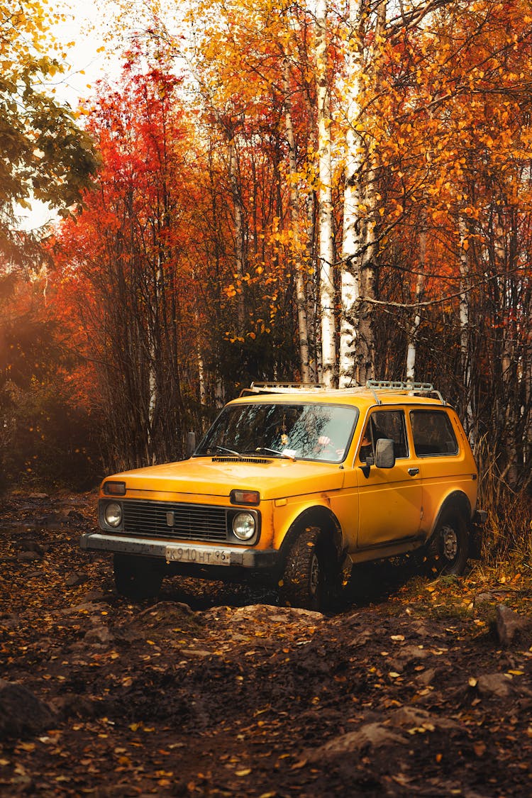 Yellow 4x4 Car On A Forest 