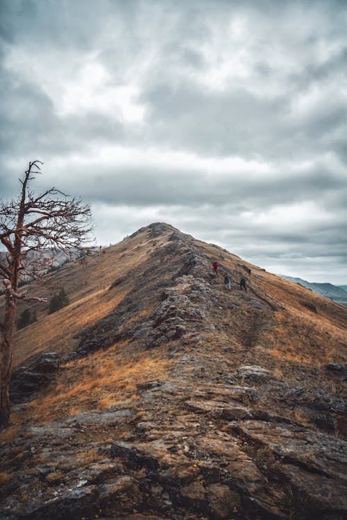 Free Scenic View of a Mountain Stock Photo