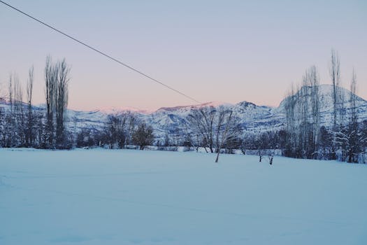 Tranquil snow-covered mountains and trees at sunset, capturing winter's beauty.