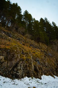 A scenic view of a rocky hill with tall evergreen trees during winter.