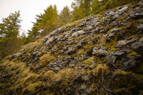 Free Lush moss covers a rugged rocky slope in a tranquil forest setting, capturing spring's renewal. Stock Photo