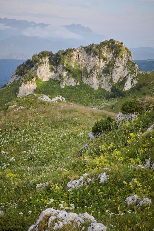 Rock Formation and Wildflowers in Moutnains