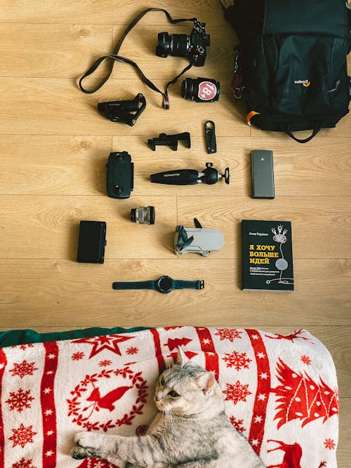 Free Flat lay of travel essentials including camera gear and a cat on a festive blanket. Stock Photo