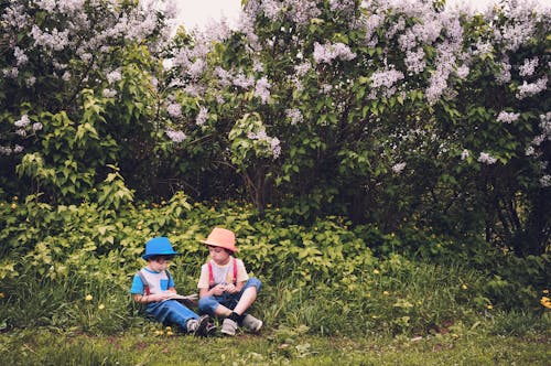 бесплатная мальчик в бело синей рубашке и синих джинсах сидит в зеленой траве Стоковое фото