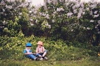 两个孩子坐在郁郁葱葱的花园里，周围丁香灌木丛盛开，享受着夏日时光