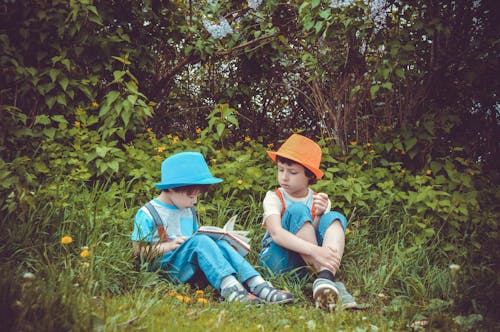 Девочка и мальчик сидят на траве в окружении деревьев