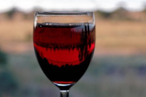 Free stock photo of bushveld, glass, glass of wine