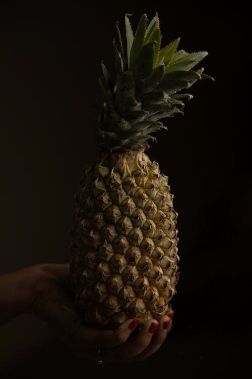 Ananas, dikey atış, düşük ışık içeren Ücretsiz stok fotoğraf