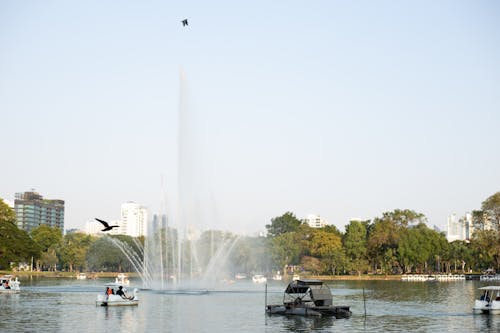 Free Photos gratuites de Bangkok, l'eau du lac, lac Stock Photo