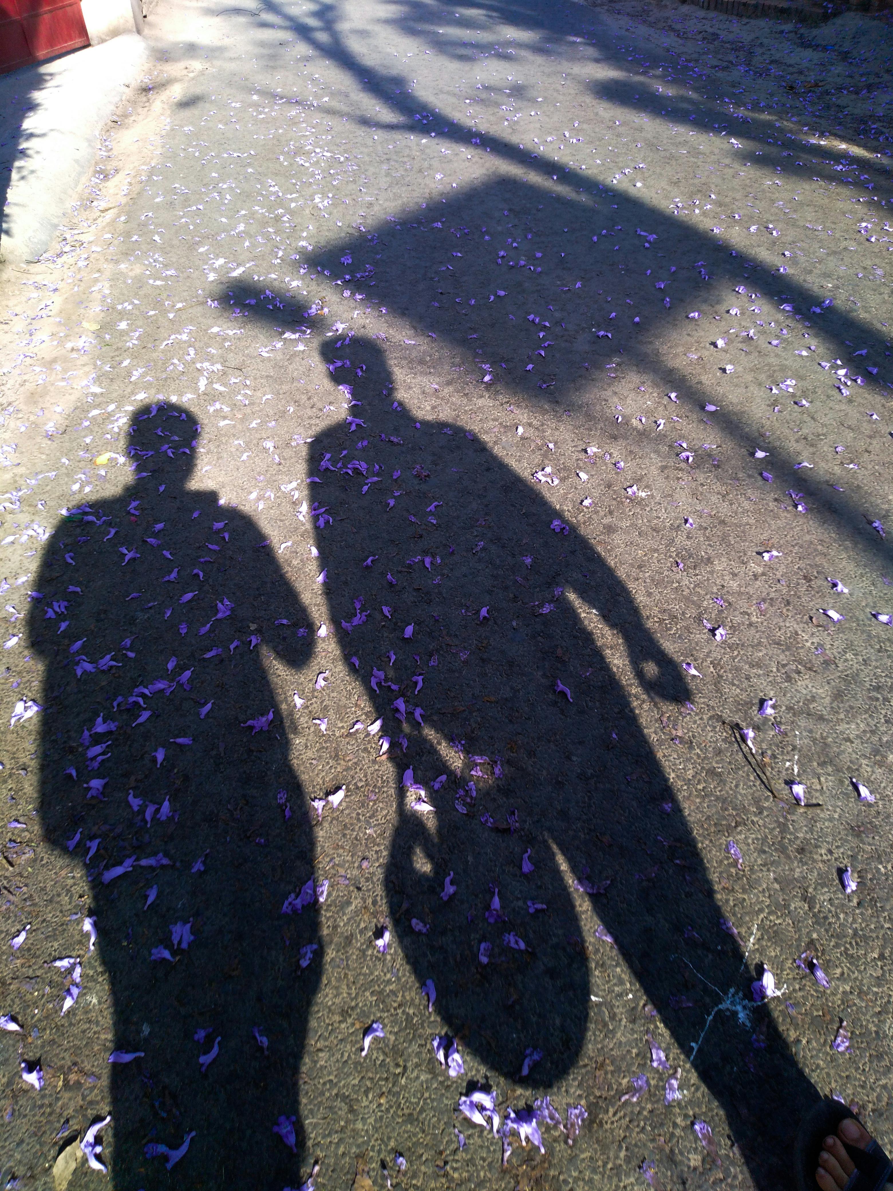 团队正在讨论项目进展