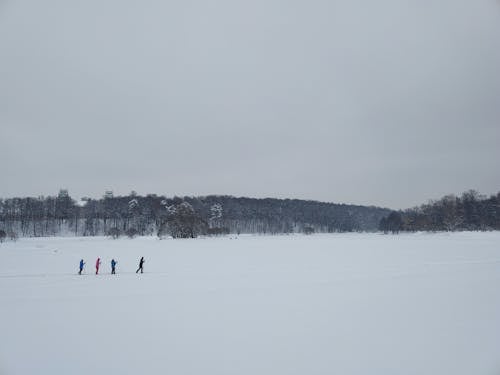 Free Four People Standing on the Snow Covered Field Stock Photo