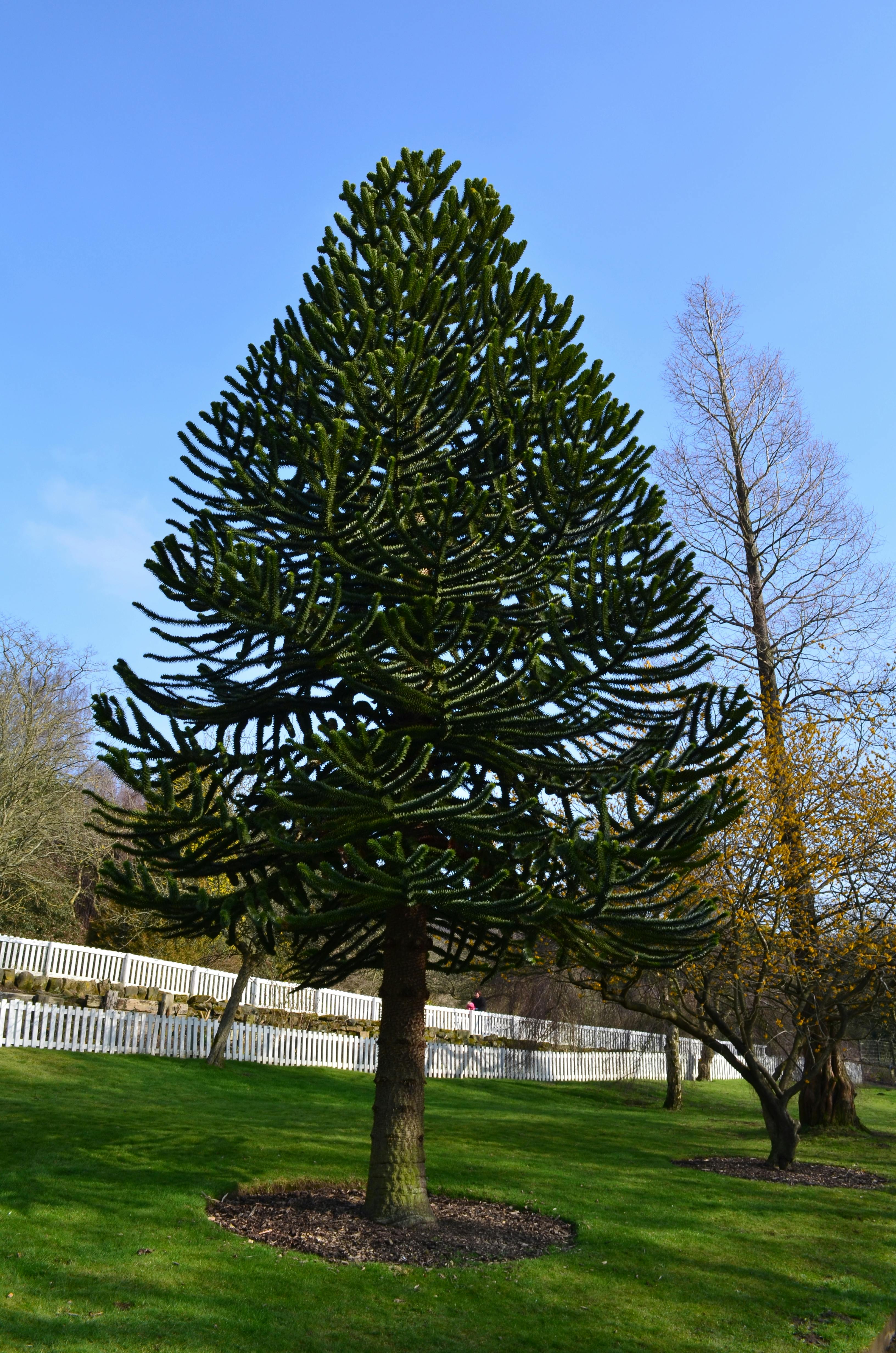 银行工作人员正在查看信用报告