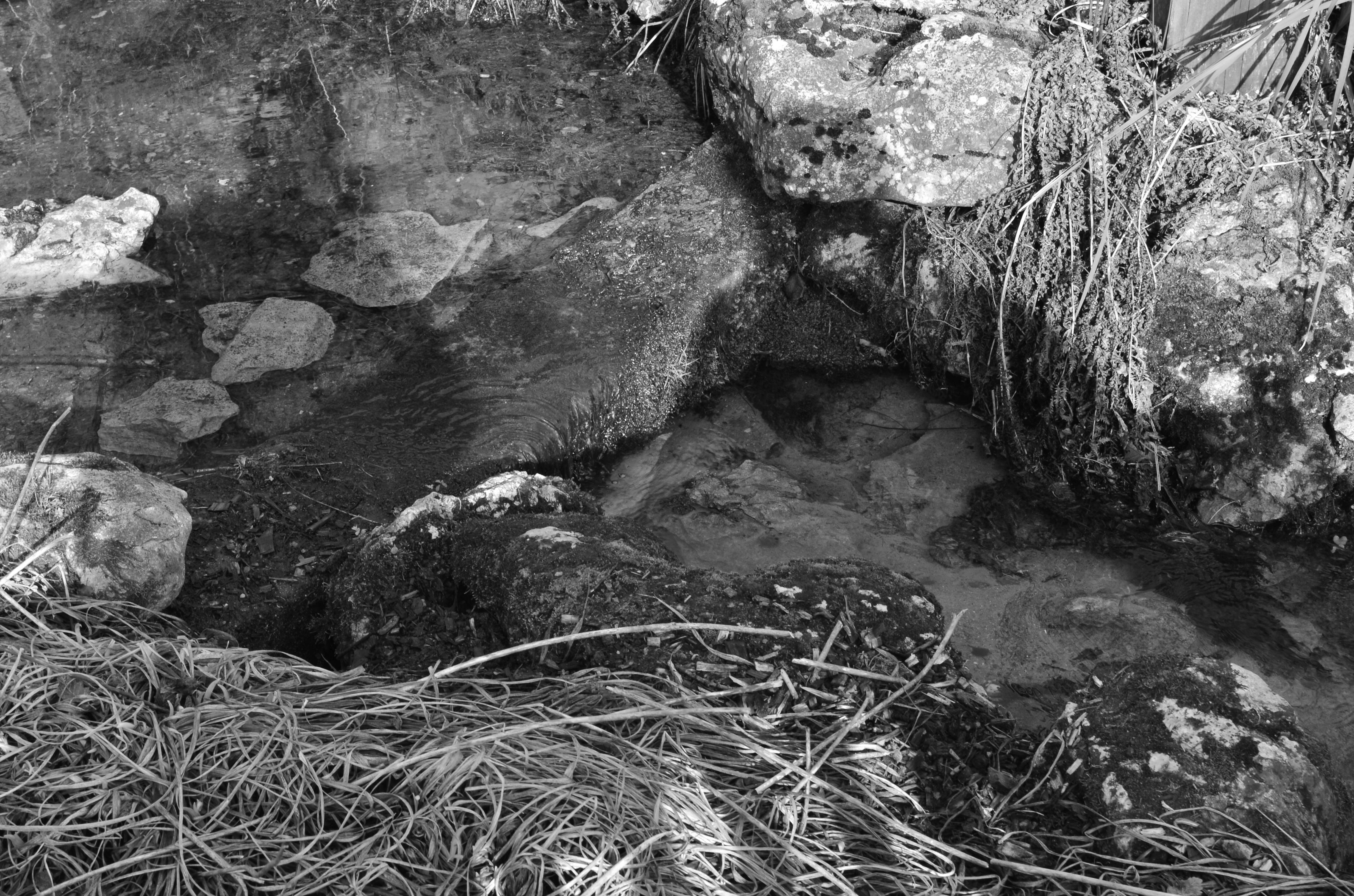 New England Patriots Flag