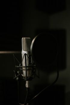 Studio microphone with pop filter in a dimly lit recording setup.