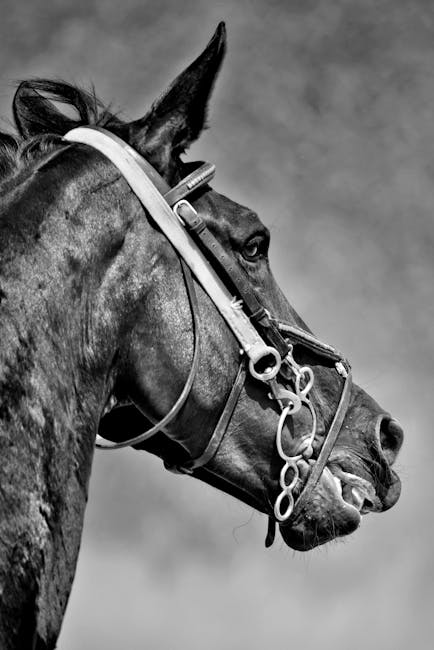 Close-up black and white image capturing the power and elegance of a horse.