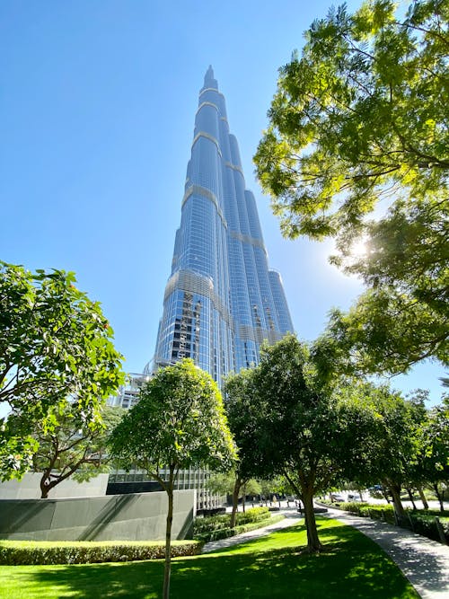 Free Green Trees Near Burj Khalifa, UAE Stock Photo