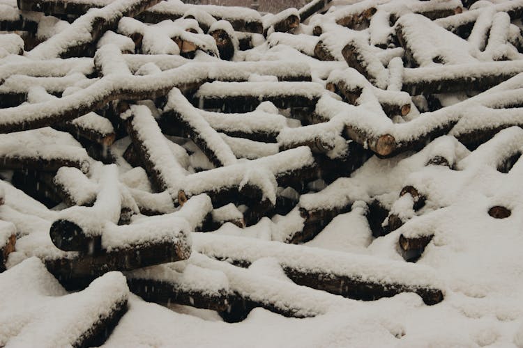 Wood Covered In Snow