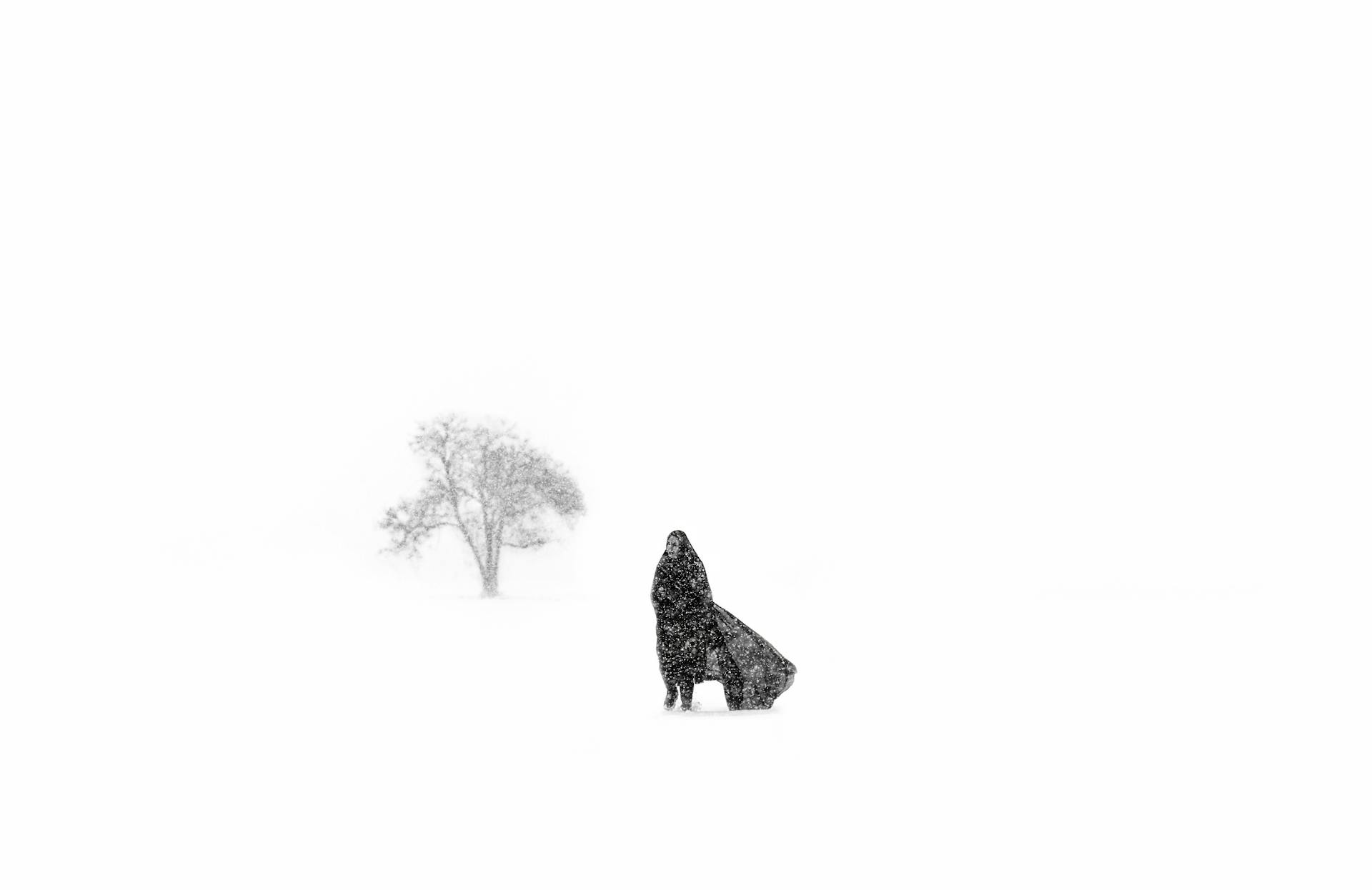 A lone person in a black coat stands in a vast snowy field with a distant tree.