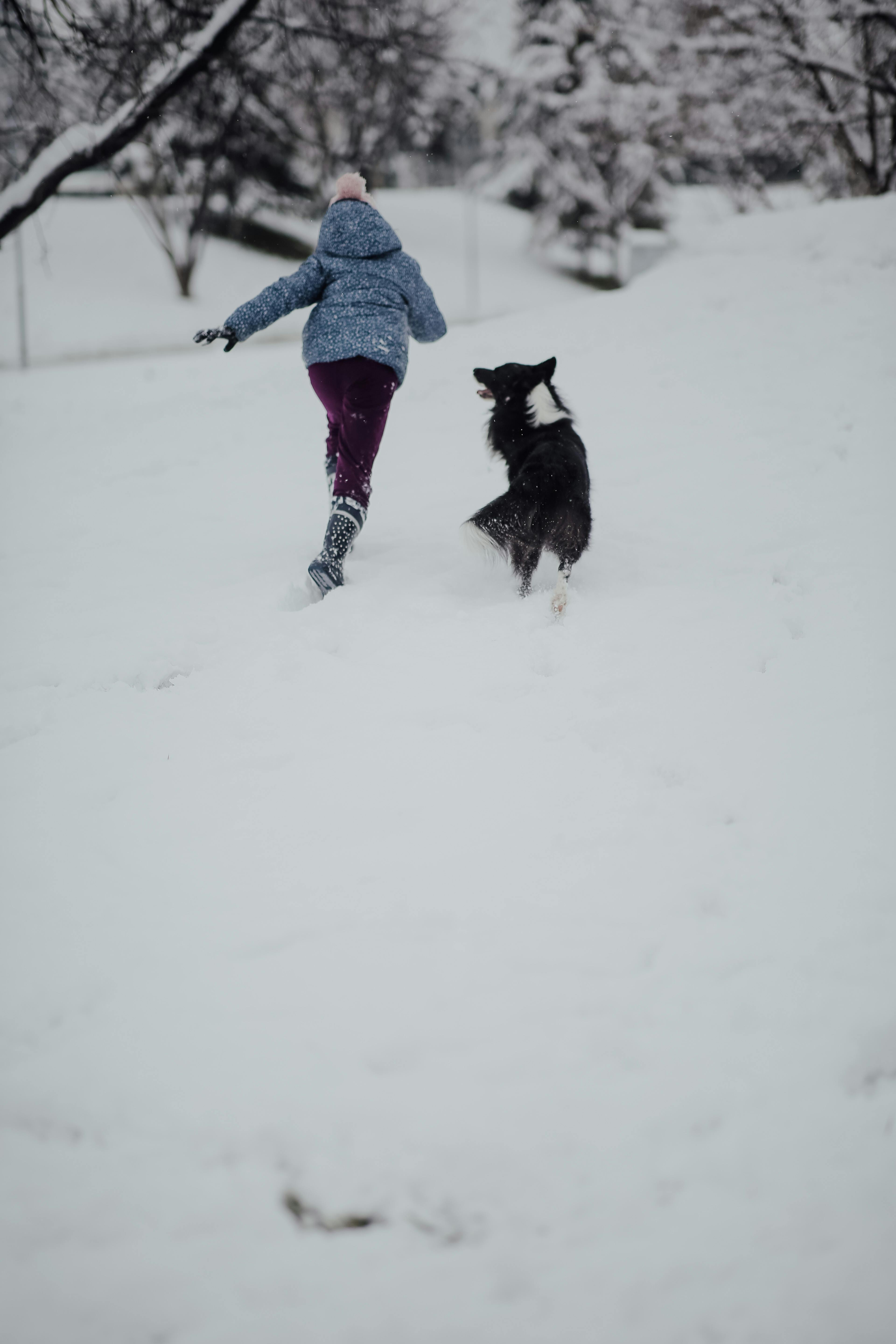 child and dog running in snow