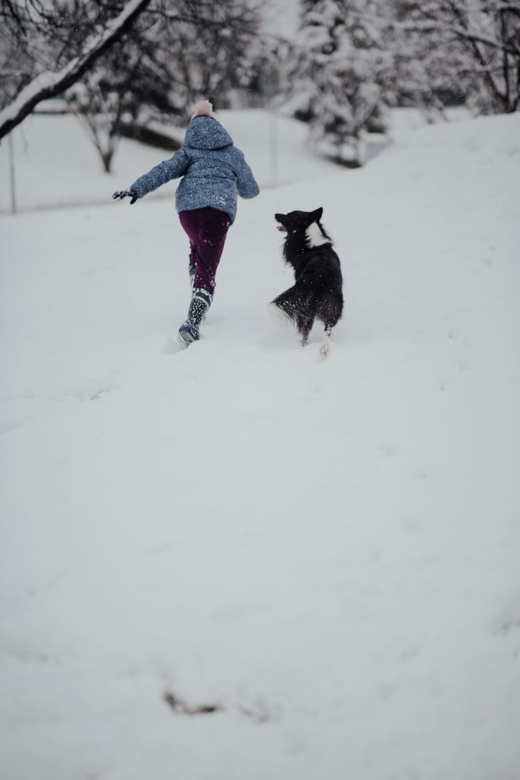 Child And Dog Running In Snow 