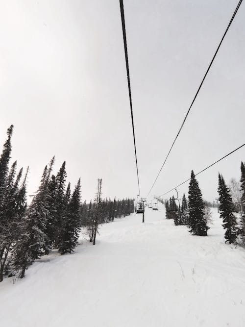 Cable Cars on Hill in Winter