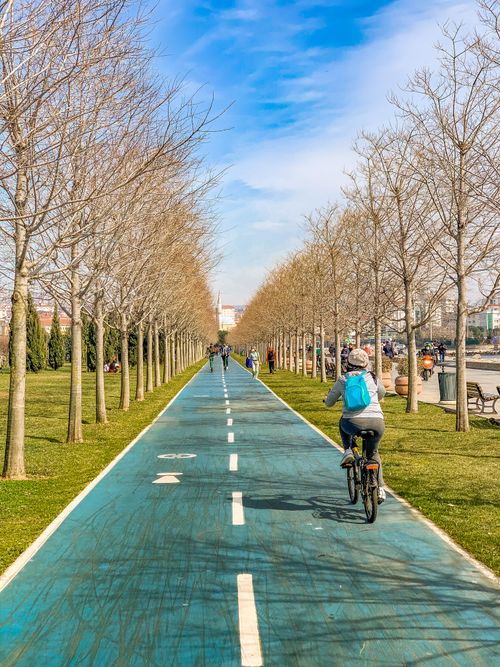 Free Woman cycling on a blue path in a sunny Istanbul park during spring. Bare trees line the way. Stock Photo