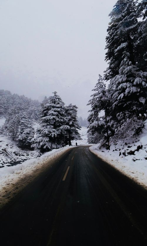 Free A serene road in Pahalgam covered with snow, surrounded by frosty trees, capturing winter's beauty. Stock Photo