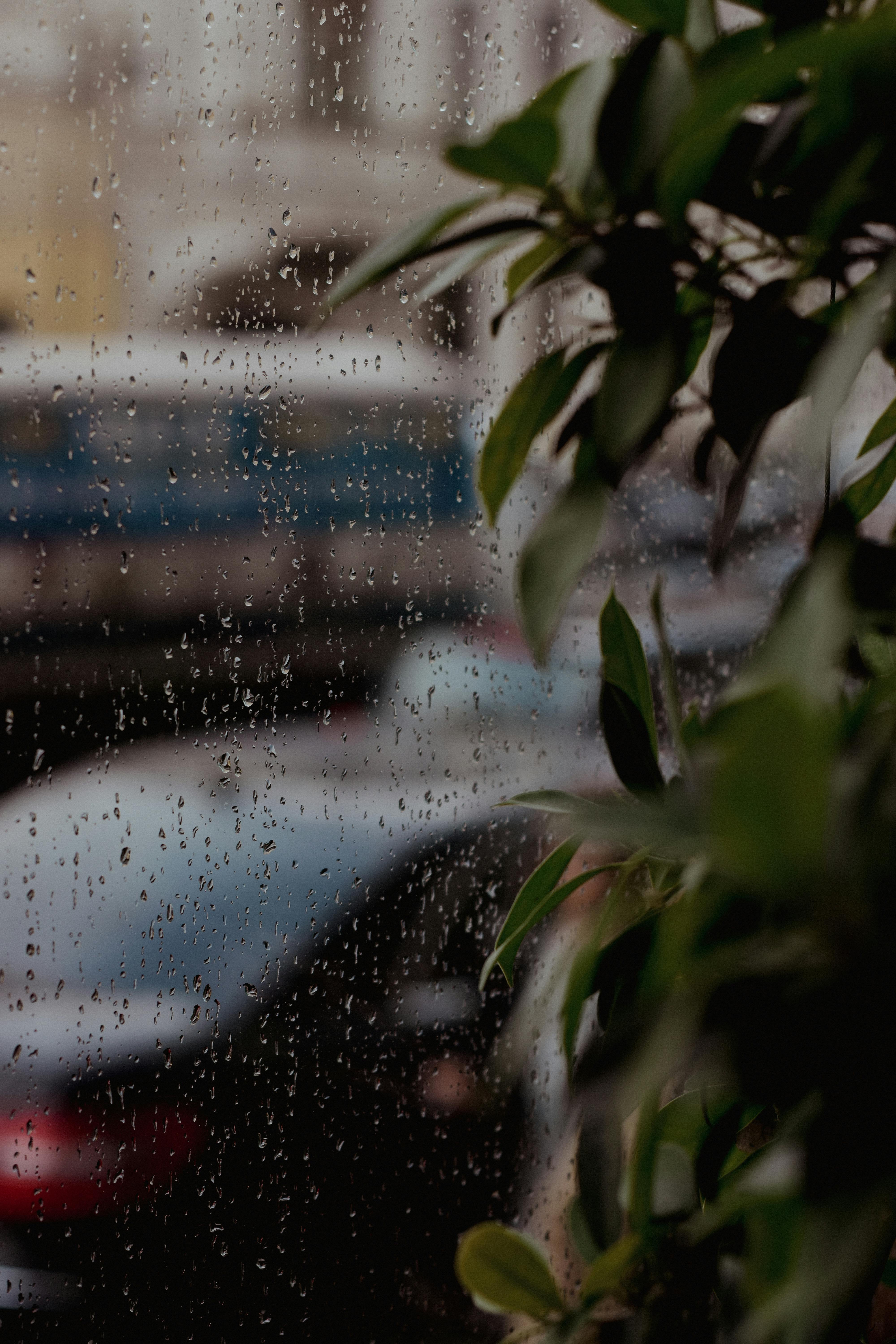 免費 下雨天, 冷靜, 和平的 的 免費圖庫相片 圖庫相片