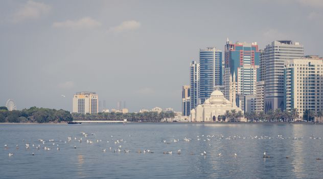 Sharjah, United Arab Emirates photo 9