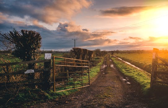 宁静的乡村景观中，敞开的大门和日落时分的天空，突显出一条穿过农田的泥泞小路