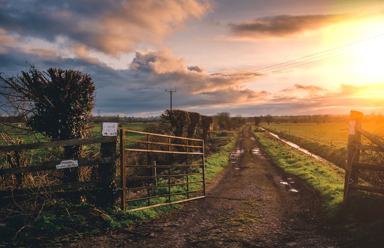 Brown Farm Gate And Green Grass Field