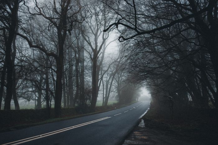 A road running through a misty stand of trees — photo by Chanita Sykes on Pexels