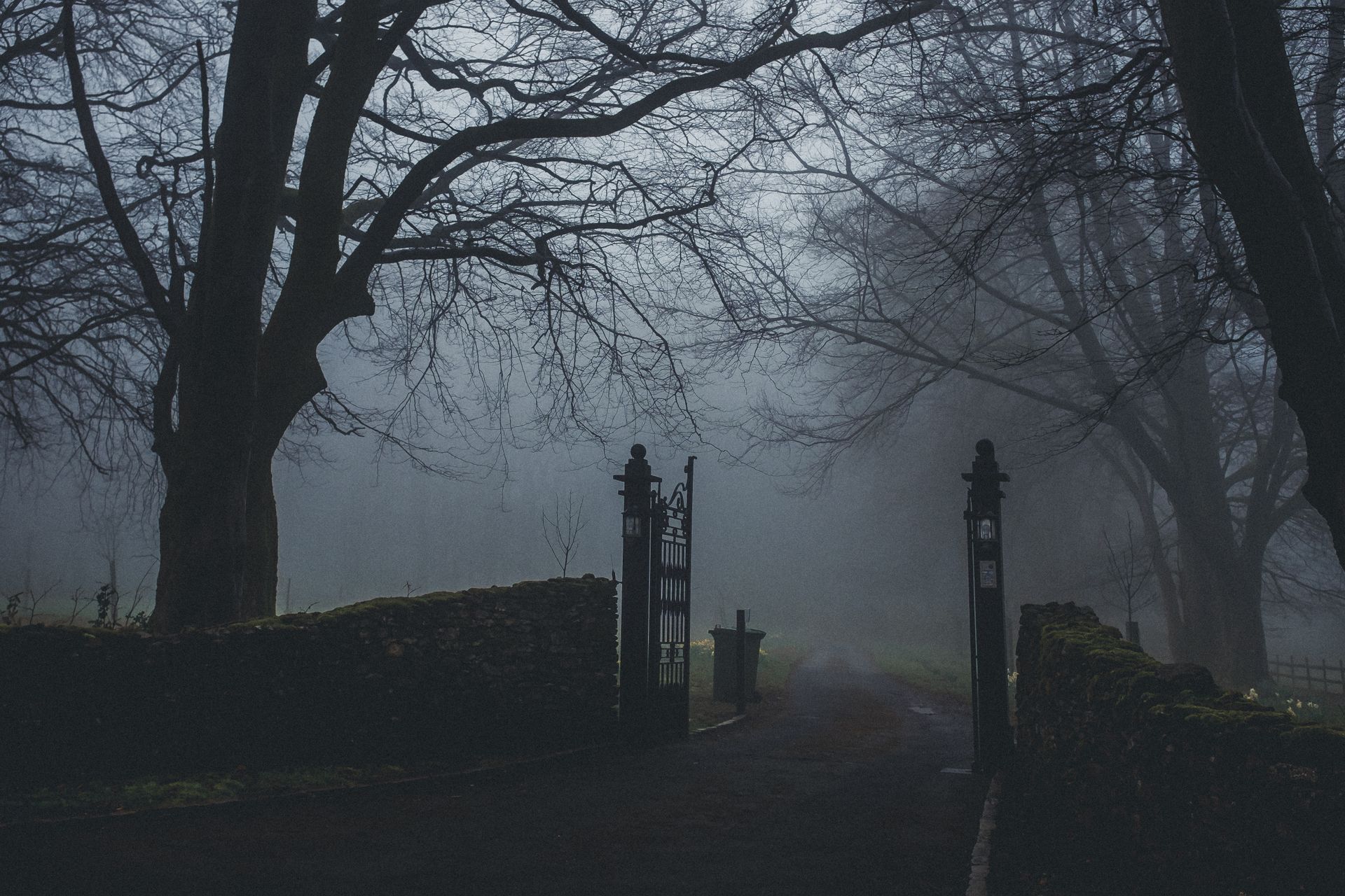 A foggy path through a gate surrounded by mist and trees in a mysterious forest setting.