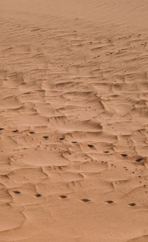 Free Captivating view of desert sand dunes with intricate patterns and textures. Stock Photo