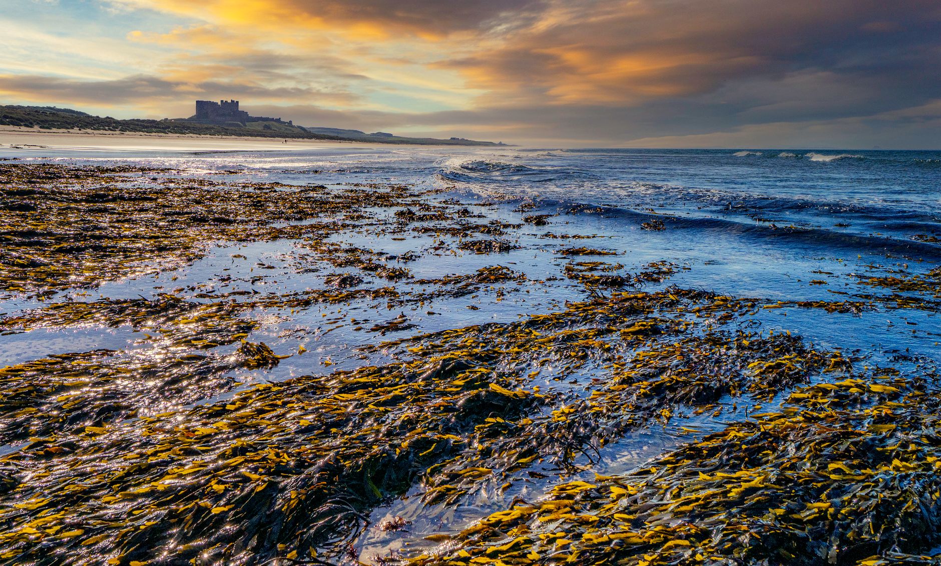 Sea salt and seaweed at low tide