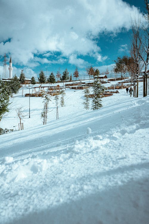 Snow Covered Field