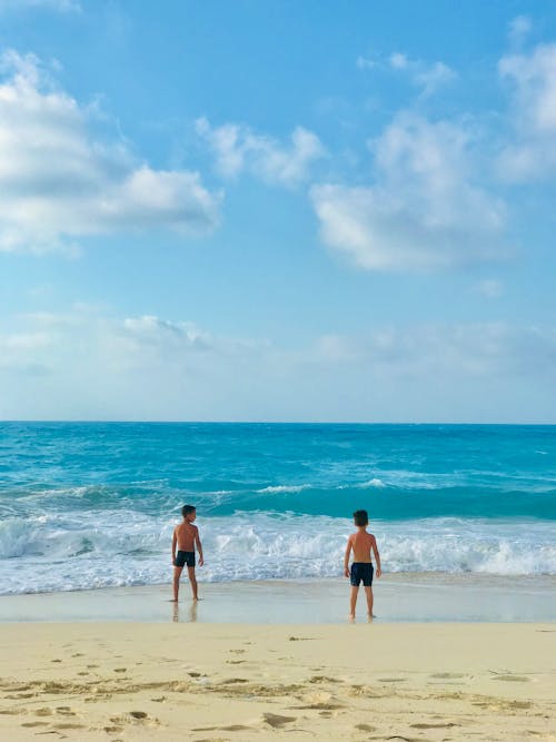 Photos gratuites de bord de mer, enfants, garçons