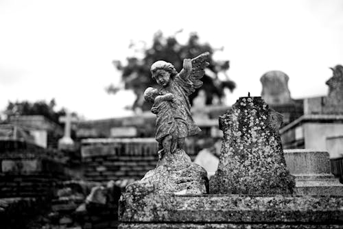 墓園, 墳墓, 天使 的 免費圖庫相片