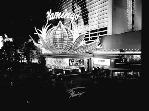Free Bright Lights of the Flamingo Hotel and Casino Stock Photo