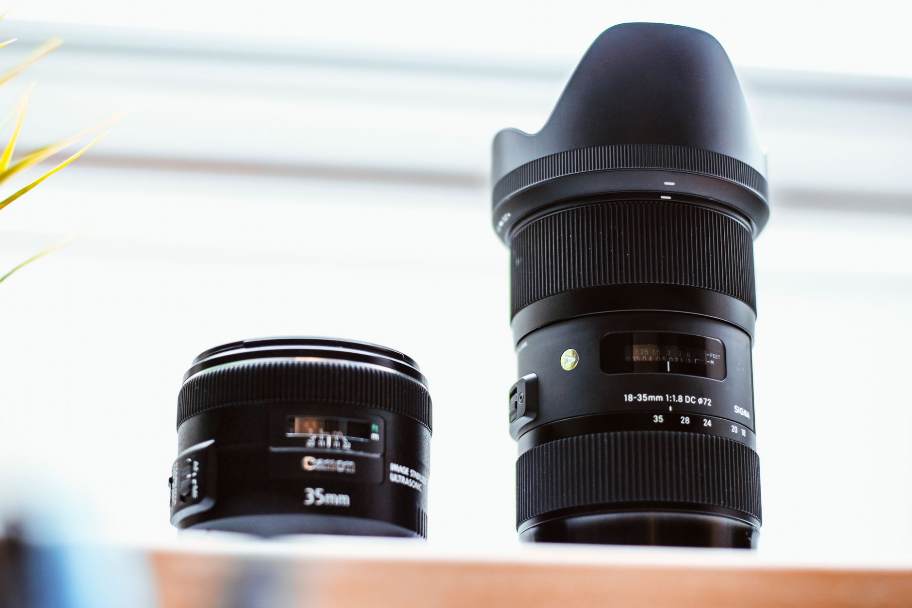 Comparison of prime and zoom lenses
