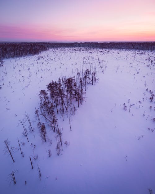 Winter Landscape at Sunrise