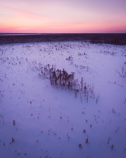 Free Winter Scenery at Dusk Stock Photo
