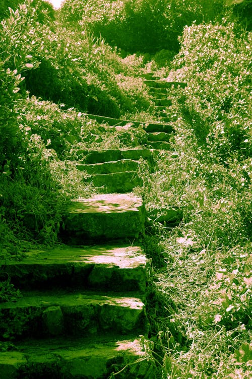 Free stock photo of coastal, stone steps