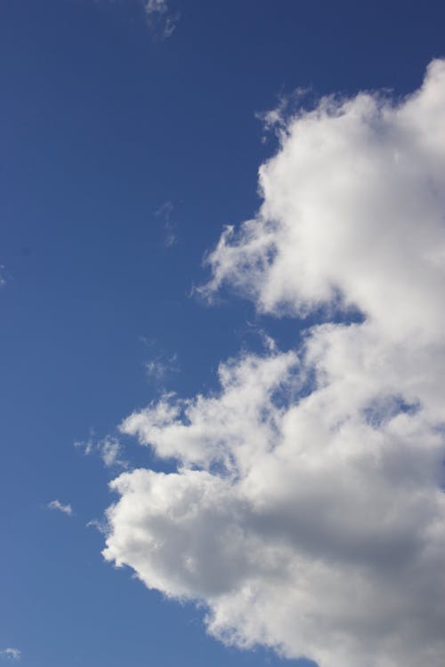 Free stock photo of above clouds, blue, blue sky