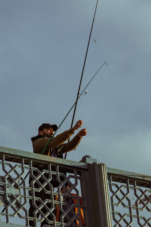 Gratis stockfoto met balustrade, brug, bruggen